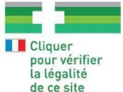Figure 12 : Logo pour la vente internet de médicament                                            