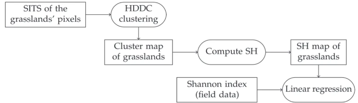 Figure 7. Overview of the method to compare the Spectral Heterogeneity (SH) measures (explanatory variables) to the Shannon index (response variable)