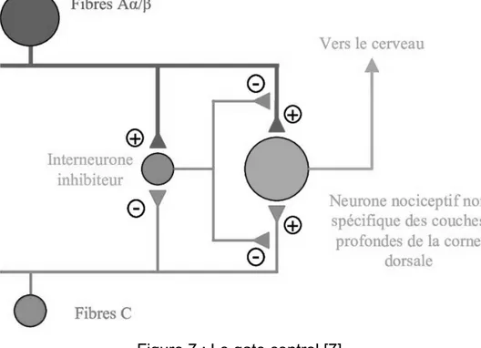 Figure 7 : Le gate control [7] 