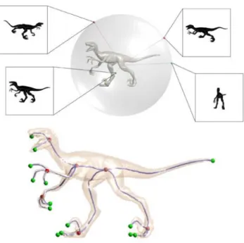 Figure 2.8 – Utilisation d’images orthographiques d’un objet 3D pour estimer un squelette curviligne