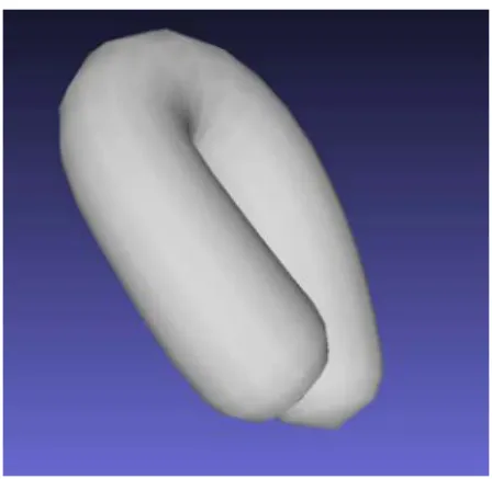 Figure 3.16 – Auto-occultation globale d’une surface canal, pour une vue pers- pers-pective.