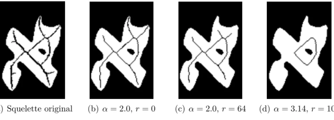 Figure 4.8 – Méthode de thinning utilisant l’angle de séparation comme critère.