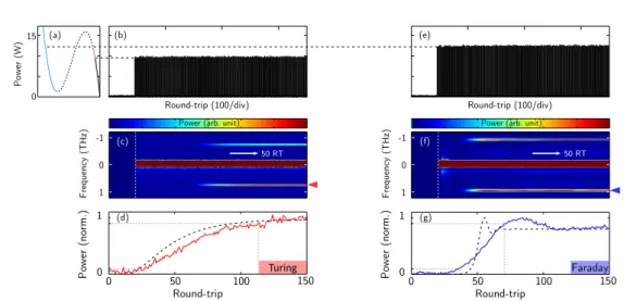 Figure 1.8 – (a) Bistable cycle. (b) Input pulse burst resulting in the excitation of Turing instabilities