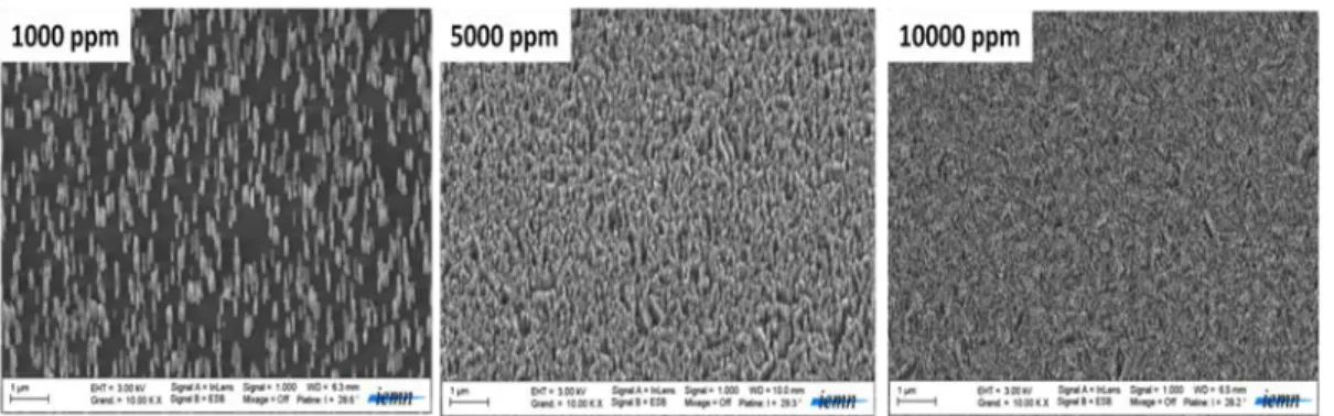 Figure  10:  Images  MEB  de  nanofils  de  diamant  obtenus  à  partir  de  films  de  diamant  différemment  dopés  au  bore