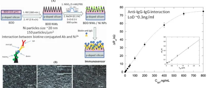 Figure 19: Nanofils de diamant décorés de particules de Ni pour l'immunodétection. 26