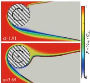 Fig. 7. DNS steady state 2D axial velocity field with the corresponding stream lines for α = 1 