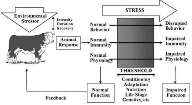 Figure 1 : Réponse d’un animal au stress thermique  Source : Allen et al. 2013 