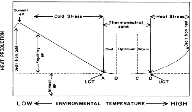 Figure 2 : Production de chaleur en fonction de la température ambiante 