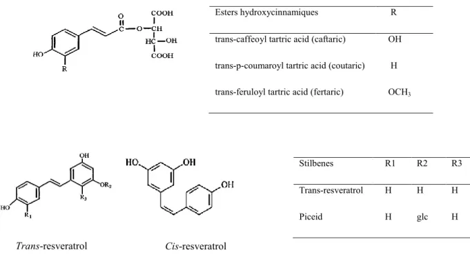 Figure I.3: Main non-flavonoid compounds found in Vitis vinifera grape varieties 