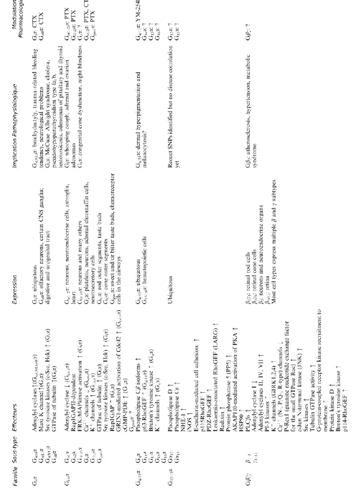 Tableau 2: Sous-unités des protéines G hétérotrimériques : fonctions et régulation (Adapté de Milligan and Kostenis, 2006).