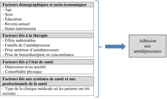 Figure 2 : Adaptation du modèle de l'OMS (2003) sur les dimensions interactives qui  affectent l'adhésion aux antidépresseurs 