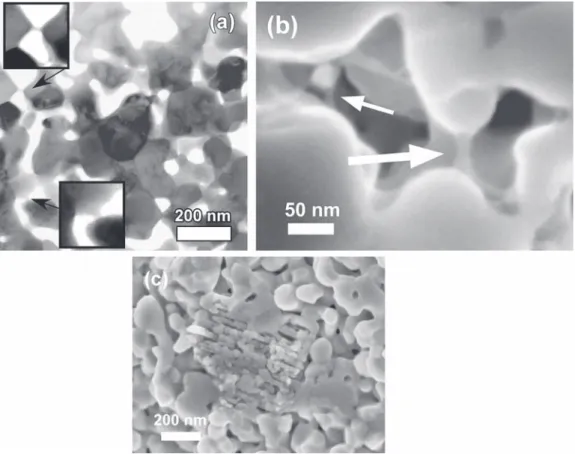 Fig. 6. (a) Bright Field TEM and (b) HRSEM images from the specimens fabricated at 1100 ◦ C and 1200 ◦ C, respectively, showing the material-jets connecting adjacent particles over the gaps in the partially sintered compact after SPS at 100 MPa