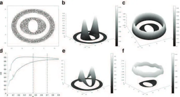 Fig. 3 (a) Data set (N D 669), (b) and (c) discretized eigenfunctions of S D , (d) correlation