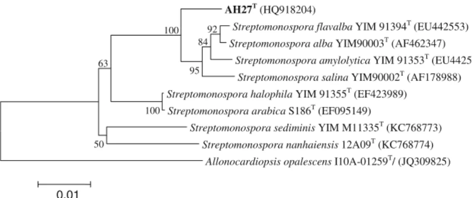 Fig. 2 Phylogenetic tree for species of the genus Streptomo- Streptomo-nospra calculated from almost complete 16S rRNA gene sequences using Jukes and Cantor (1969) evolutionary distance methods and the neighbour–joining method of Saitou and Nei (1987)