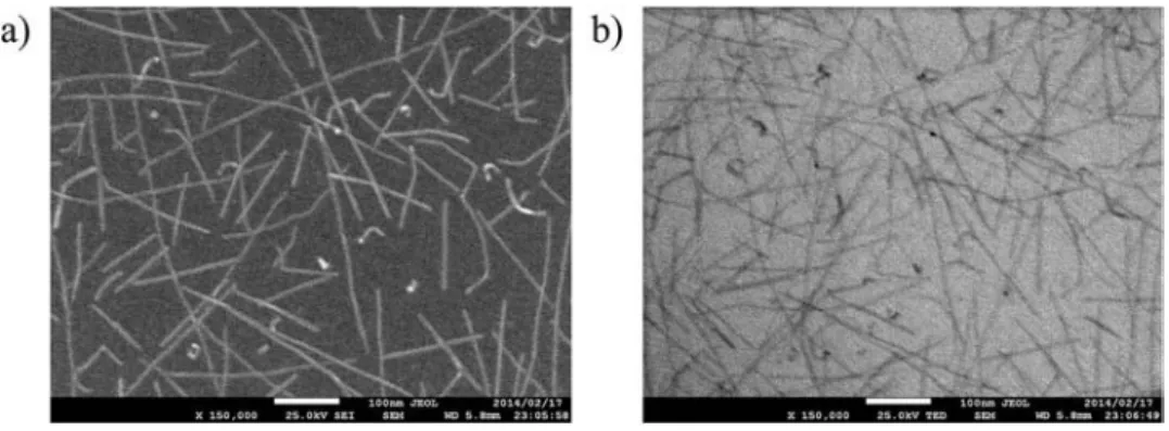 Fig. 3 Typical HR-TEM images of DWNTs wrapped with nanocalipers 1. The respective outer and inner diameters are (a) 1.71 and 1.02 nm, (b) 1.58 and 0.91 nm, and (c) 1.47 and 0.76 nm.