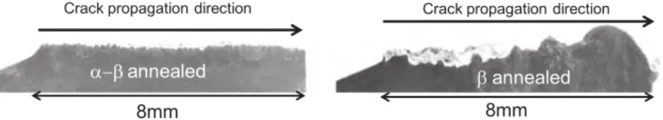 Fig. 18. Schematic of the role of microstructure on the crack propagation behavior for both materials (crack path in red)