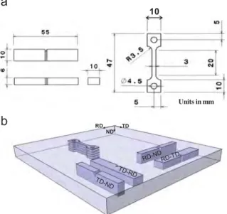 Fig. 5. (a) Geometry of the specimen and (b) schematic of the specimen orienta- orienta-tions in the rolled plate.
