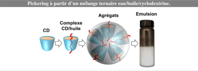 Figure 14. Principe de l’auto-assemblage séquentiel conduisant à des émulsions de  Pickering à partir d’un mélange ternaire eau/huile/cyclodextrine