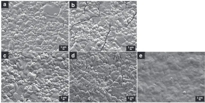 Fig. 6. Brittle fracture cross section of samples deposited with 20 sccm (a, b) and 50 sccm (c, d) Ar on alumina substrate as-deposited and annealed in air for 2 h at 1173 K with La 2 NiO 4