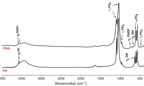 Fig. 3. FTIR spectra of the as-synthesized ﬂuor-hydroxyapatite powder and hydroxyapatite reference powder.
