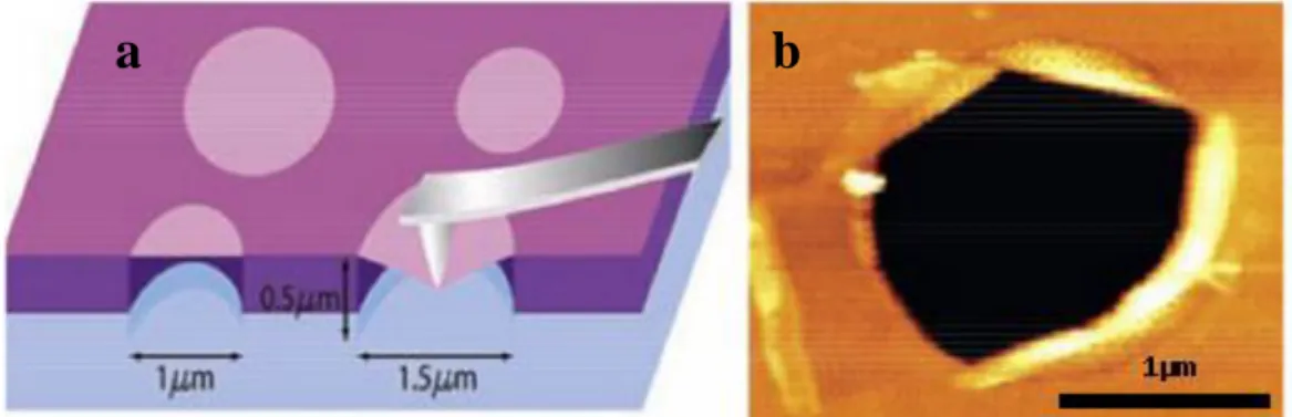 Figure 1.8 : Caractérisation des propriétés mécaniques du graphène par nano-indentation (a) schéma de l’expérience, (b)  image AFM d’une membrane de graphène fracturée (Lee et coll., 2008) 