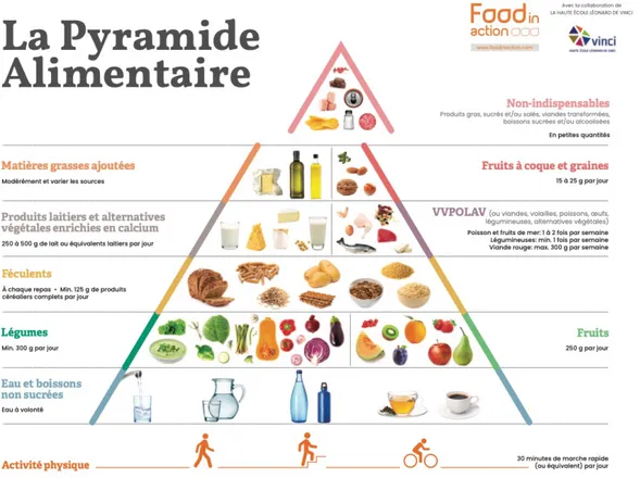 Figure 21 : Pyramide alimentaire (source : Foodinaction.com)  (63)