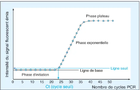 Figure 7 : Cinétique de la réaction de PCR et illustration du Ct (Concentration threshold) (42) 