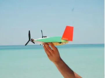 Figure 22  MAVion: a fixed-wing bimotor MAV for transition  flight (see online version for colours) 