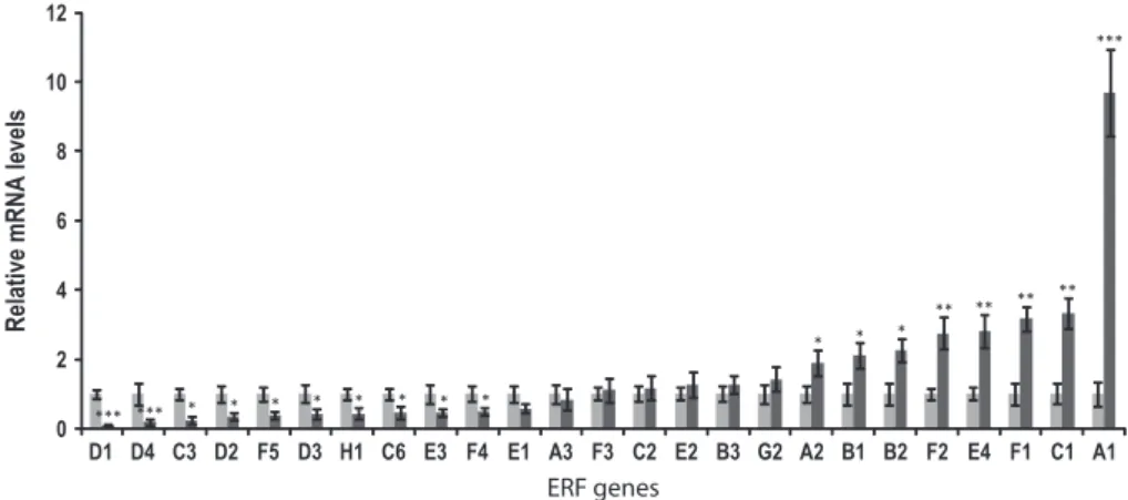 Fig. 9 Accumulation of Sl-ERF transcripts in wild-type (WT) and ERF.B3-SRDX lines assessed by quantitative real-time-polymerase chain reaction (qRT- (qRT-PCR) in tomato (Solanum lycopersicum) fruits at Br + 3 (3 d post-breaker) stage