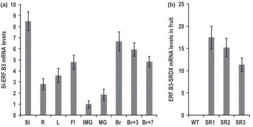 Fig. 2 Sl-ERF.B3 gene expression in vegetative and reproductive tomato (Solanum lycopersicum) tissues