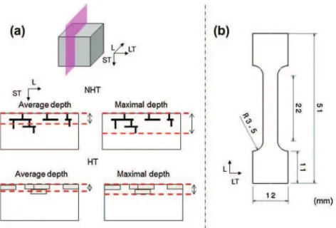 Fig. 2a shows the open circuit potential (OCP) measurements performed for both NHT and HT samples in 0.7 M NaCl