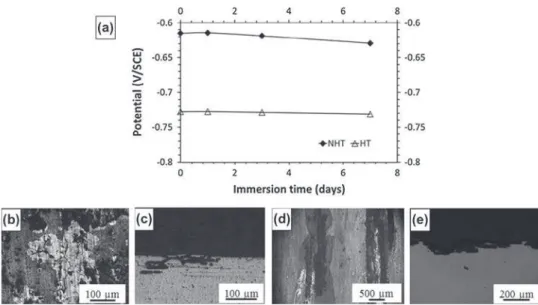 Fig. 2. (a) Open circuit potential (OCP) measurements in 0.7 M NaCl at 25 °C for the NHT and HT samples of the 2050 aluminium alloy
