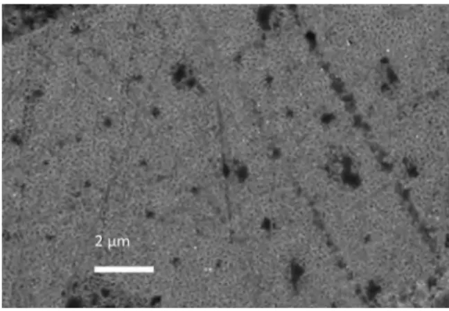 FIG. 5. Scanning electron micrographs of the YBCO film included in the coated conductor