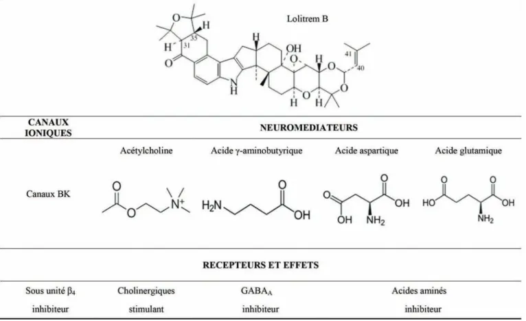Figure 3 : Structures du Lolitrem B et de différents neuromédiateurs : nature des effets.