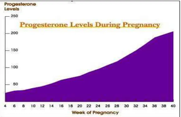 Figure 8 : niveau de la progestérone au cours des semaines de gestation [1] 