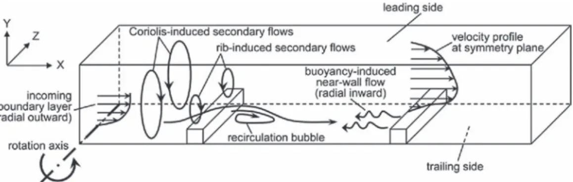 FIG. 1. Schematic illustration of the mean flow features in a rotating rib-roughened channel.