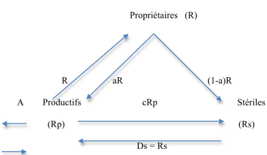 Diagramme de Cartelier (1991)                                                                            Propriétaires   (R)                                                                                                                                    