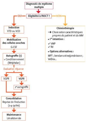 Figure 10 : approche schématique des thérapies initiales (40)
