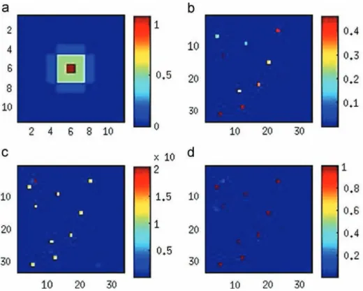 Fig. 4. (a) Restored PSF, (b) image, (c) map of pixel-wise (posterior) variance, and (d) weight map