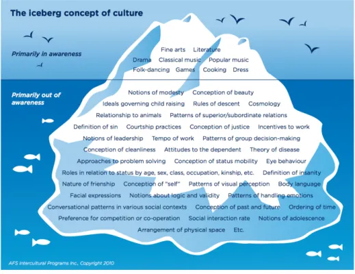 Figure 3 – Le modèle de l’iceberg de Weaver 