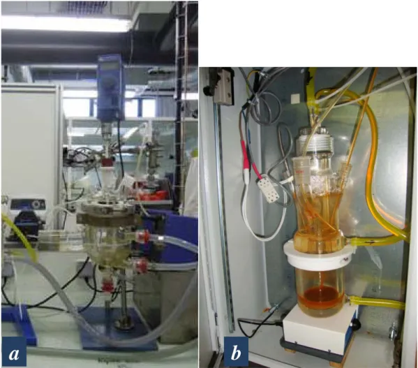 Figure II.13 - Réacteurs utilisés les expériences en oxydation photo-Fenton homogène  et hétérogène : a) réacteur d’échantillonnage et b) réacteur photochimique