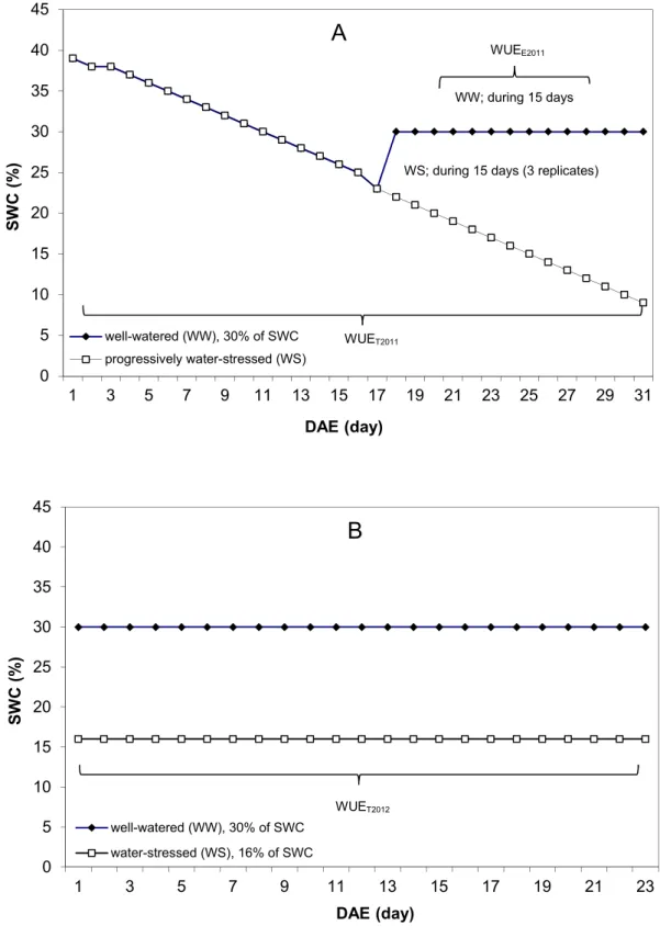 Figure 1. Principles of the water treatments used in this study. (A) In experiment 2011, three replicates (each  of  150  plants)  were  subjected  to  progressive  water-stress  by  water  withholding  from  1  to  31  DAE