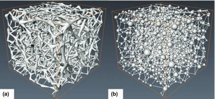 Fig. 2a and b are 3D illustrations of the pore network extracted using the above methodology