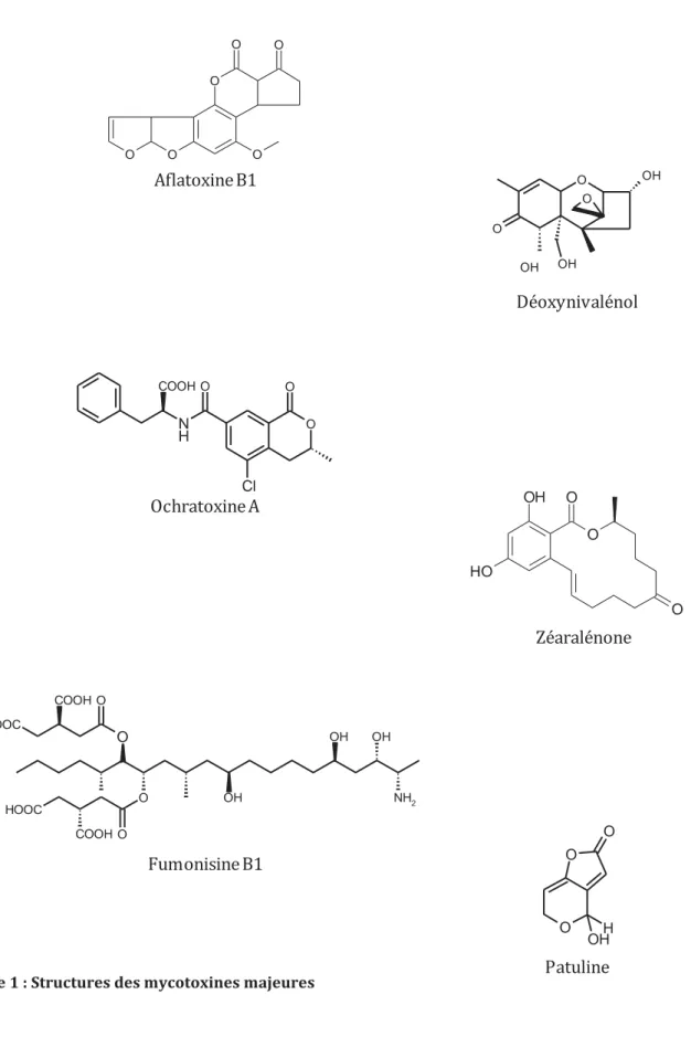Figure 1 : Structures des mycotoxines majeures OOOOOOAflatoxine B1 OH OOHOO OHDéoxynivalénolNHOCOOH OOClOchratoxine AO OOOHOHZéaralénoneHOOCOHOOCCOOH OOOHOHOHNH2COOH OFumonisine B1OOOHOHPatuline