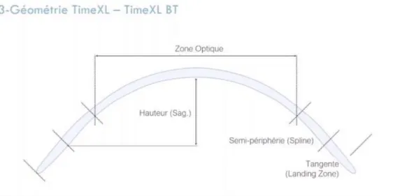 Figure 19 : Géométrie Time XL BT – guide d’adaptation lentille Time XL, campus Menicon 