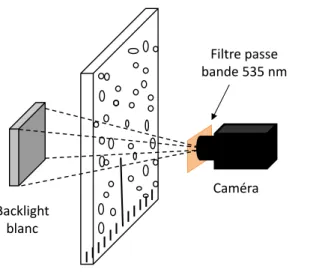 Figure 2.10  Conguration expérimentale pour l'étude du mélange par absorption