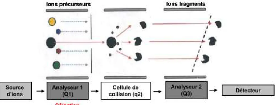 Figure 8 - Représentation schématique du mode d’analyse Product ion scan au sein  d’un système QqQ