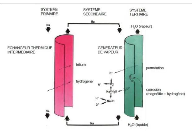 Figure 1-3 : Origine des principales sources de pollution dans un circuit secondaire. 