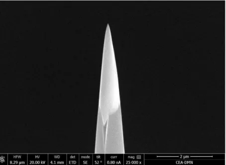 Figure 32 : Image d’une pointe SAT, avec un rayon de courbure de 25 nm, prélevée dans un  acier F20 (Fe-18Cr-ODS) vieilli à 450°C pendant 5000 heures