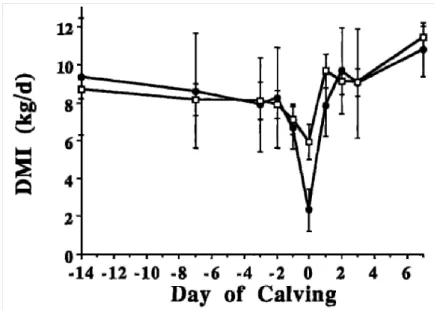 Figure 1 : Evolution de la quantité de matière sèche ingérée autour de la parturition chez des vaches  laitières avec une hypocalcémie ou fièvre de lait (•), et des vaches saines (□ ) (d’après Goff et al., 2002) 
